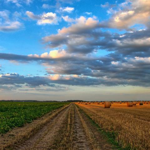 Image of an empty country road by Wolfgang Borchers from Pixabay 