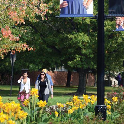 Students walk past beautiful flowers on a sunny day.