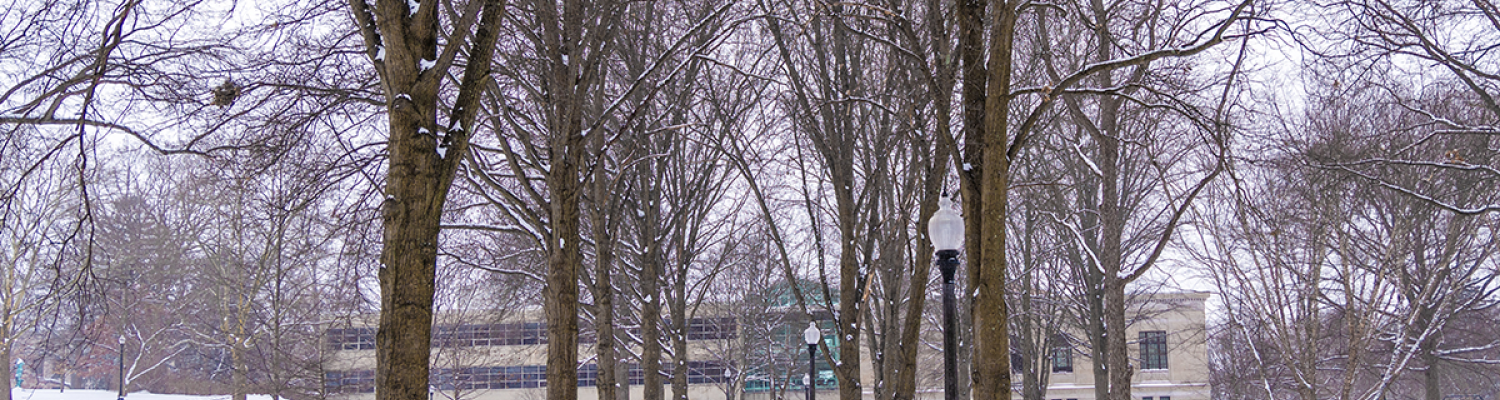 Snow covered ground and trees on Kent Campus