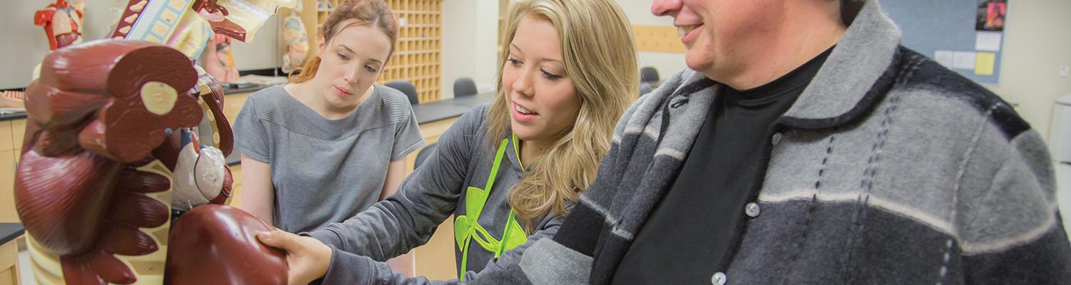 Salem: Assistant professor Louise Steele shows students a model in the new biology lab. 