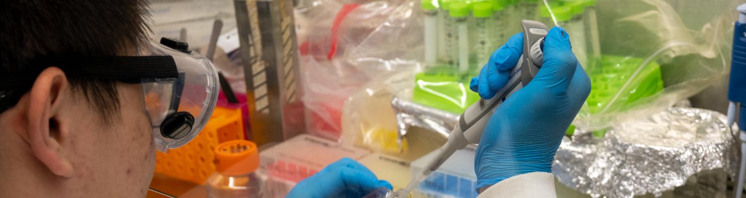 A student works with a pipette