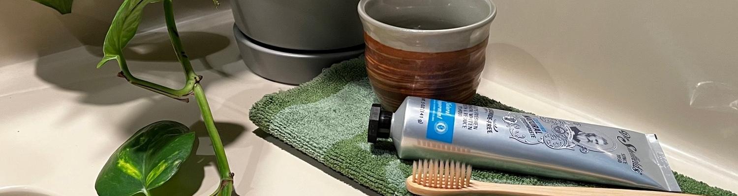 Toothpaste and toothbrush with clay cup and foliage plant