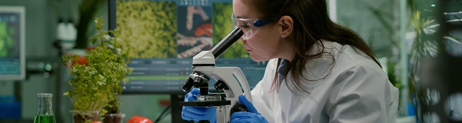 a scientist studying the environment