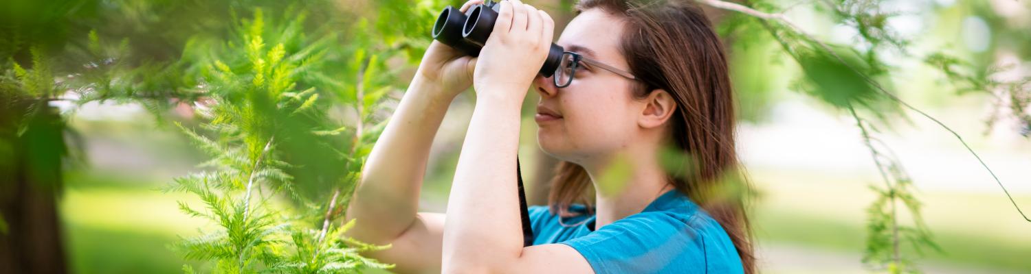 Student amongst trees using binoculars