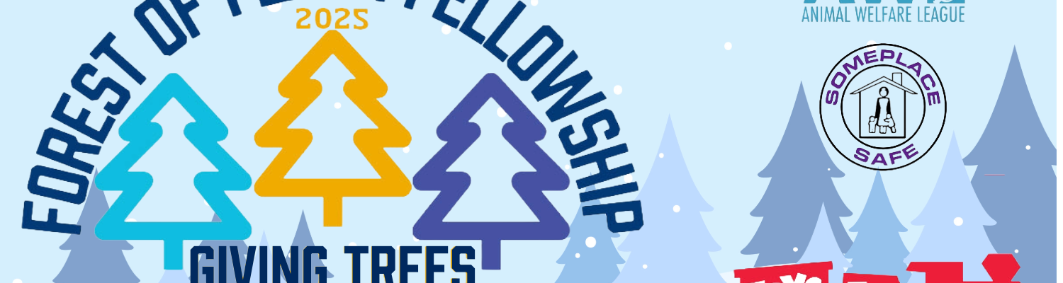 Forest of Flashes Fellowship