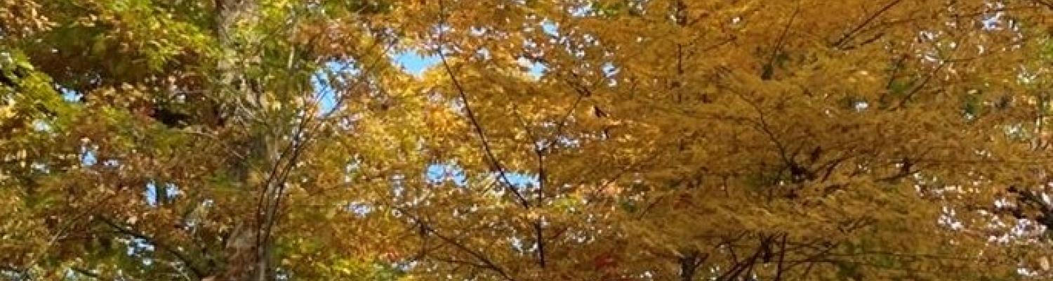 Graduate Student Hiking Trips