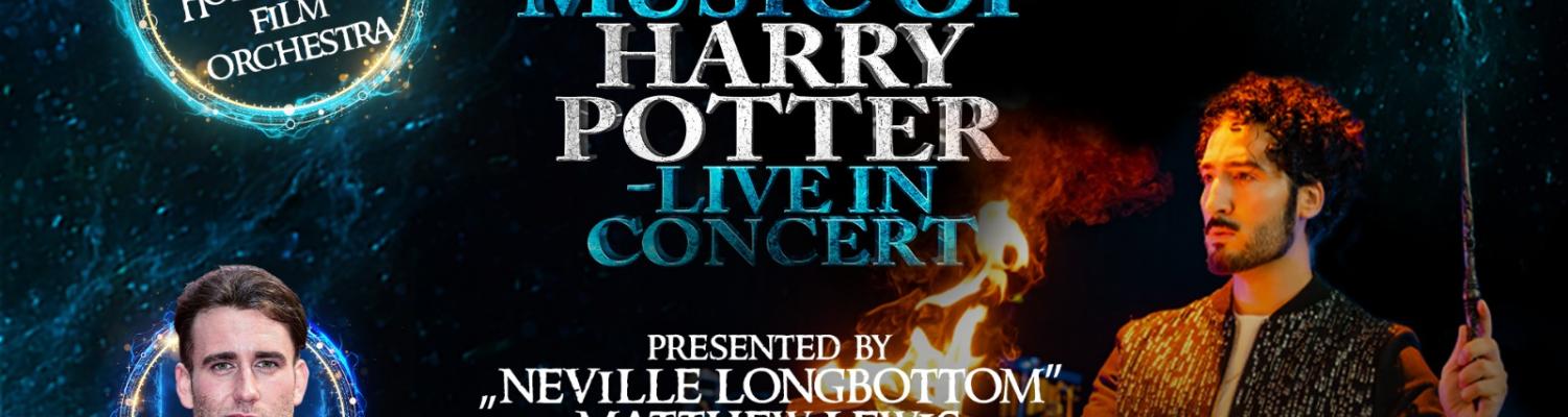 Harry Potter Hero
