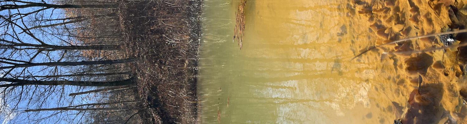 orange colored water outside