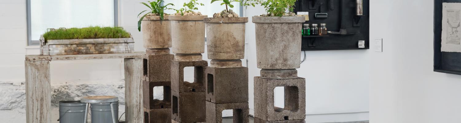 a gallery installation using cinderblocks as pedestals and cement for planters. small plants appear among the industrial materials.