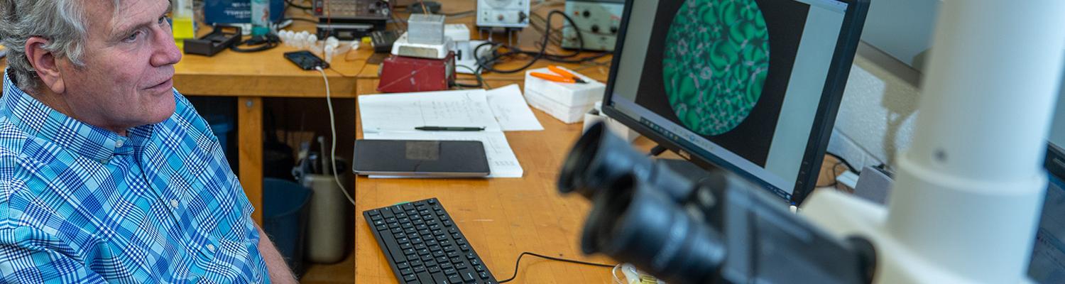 Dr. Michael Fisch observes the structure of liquid crystal
