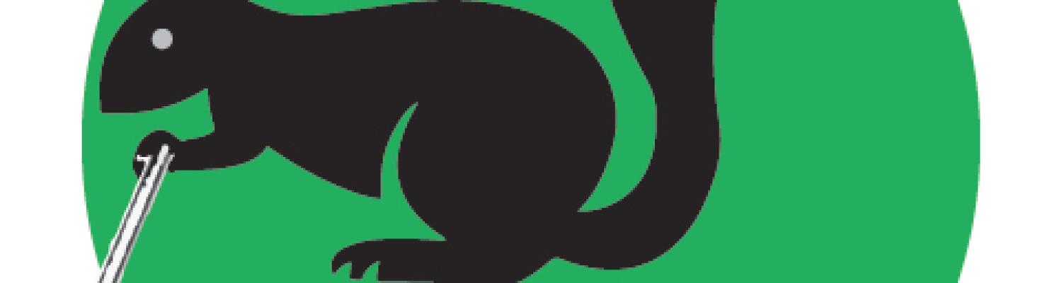 National Writing Project at Kent State University logo