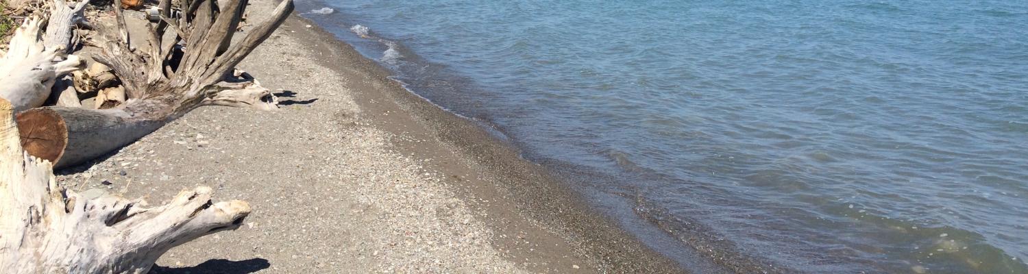 Lake Erie Pic