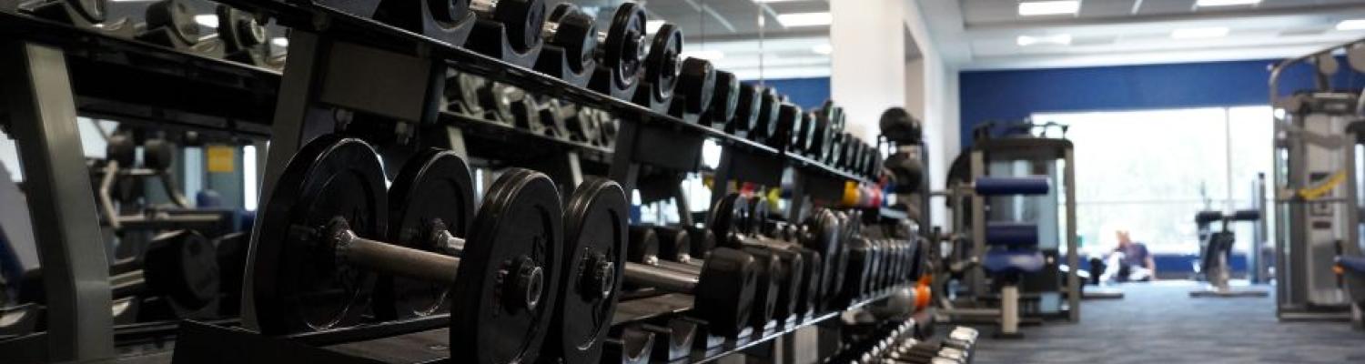 Long row of different sized weights in the Recreation and Wellness Center