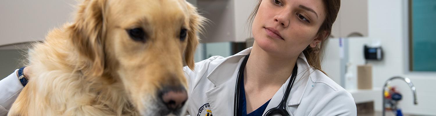 Photo of a vet tech student with a large golden retriever. 