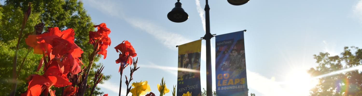 Photo of flowers on the Kent Campus