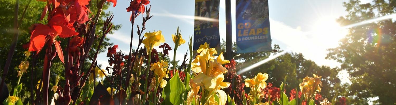Flowers near library