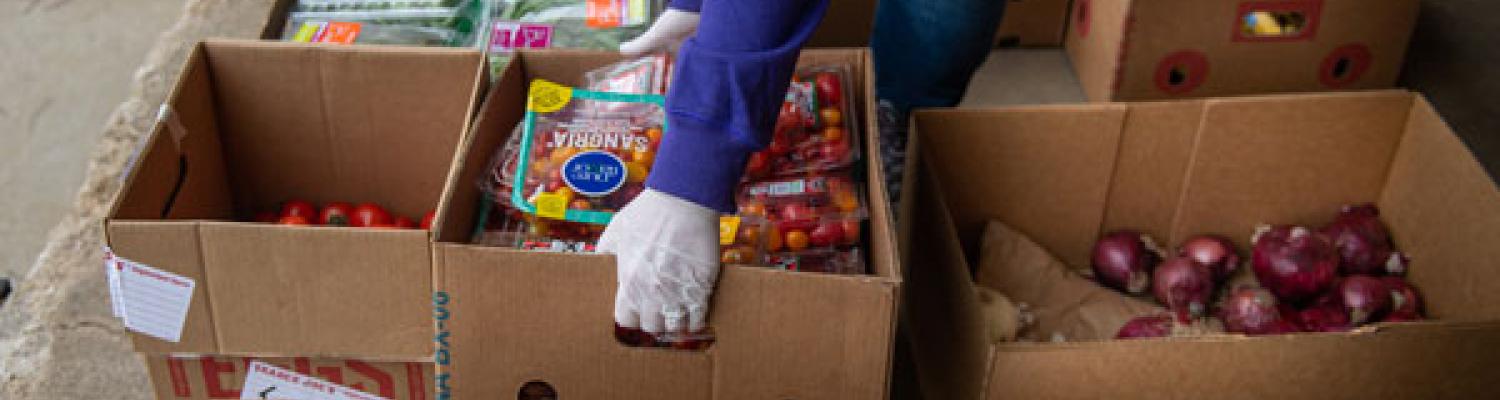 image of a volunteer organizing donated food