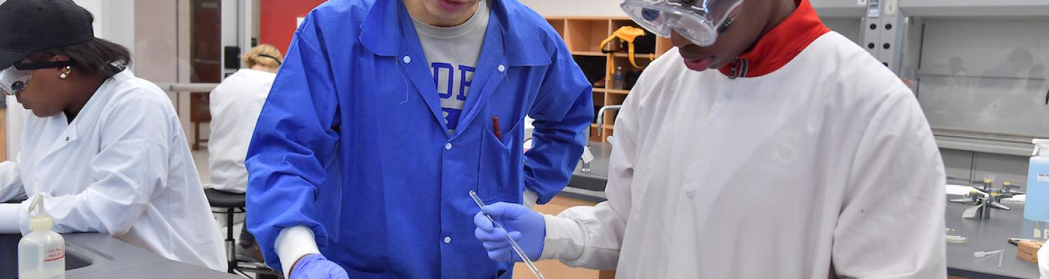 TA and student working with samples in science lab