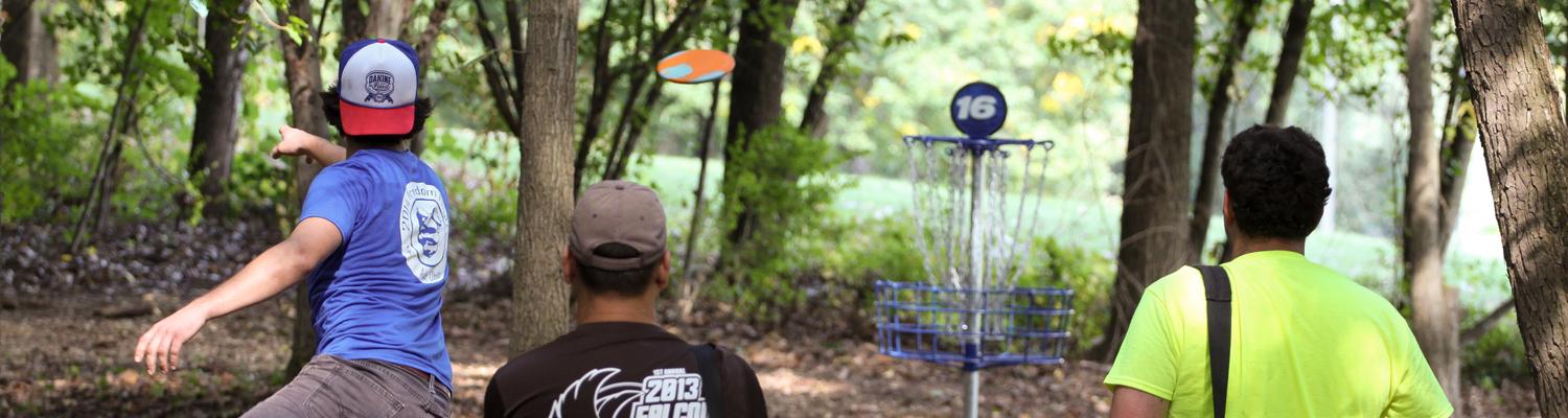 throwing disc at target in the woods
