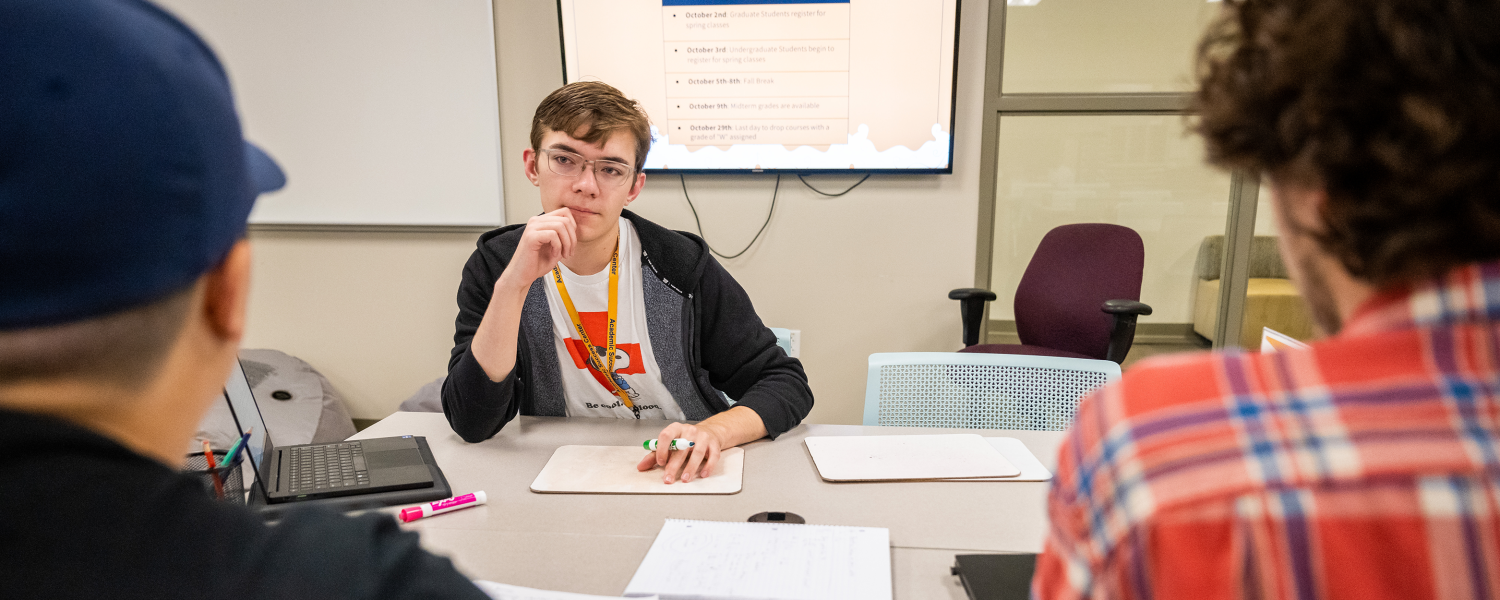 An academic coach works with two students.