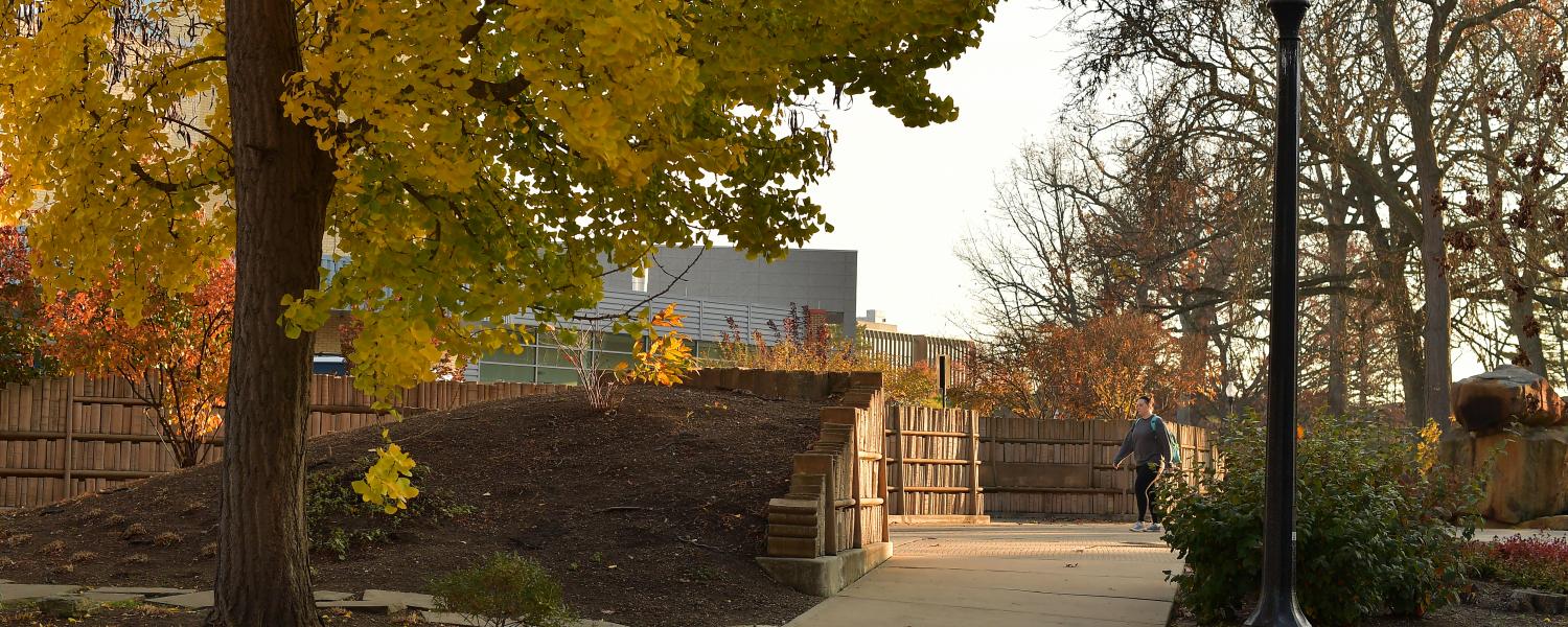 campus walkway in warm sunlight