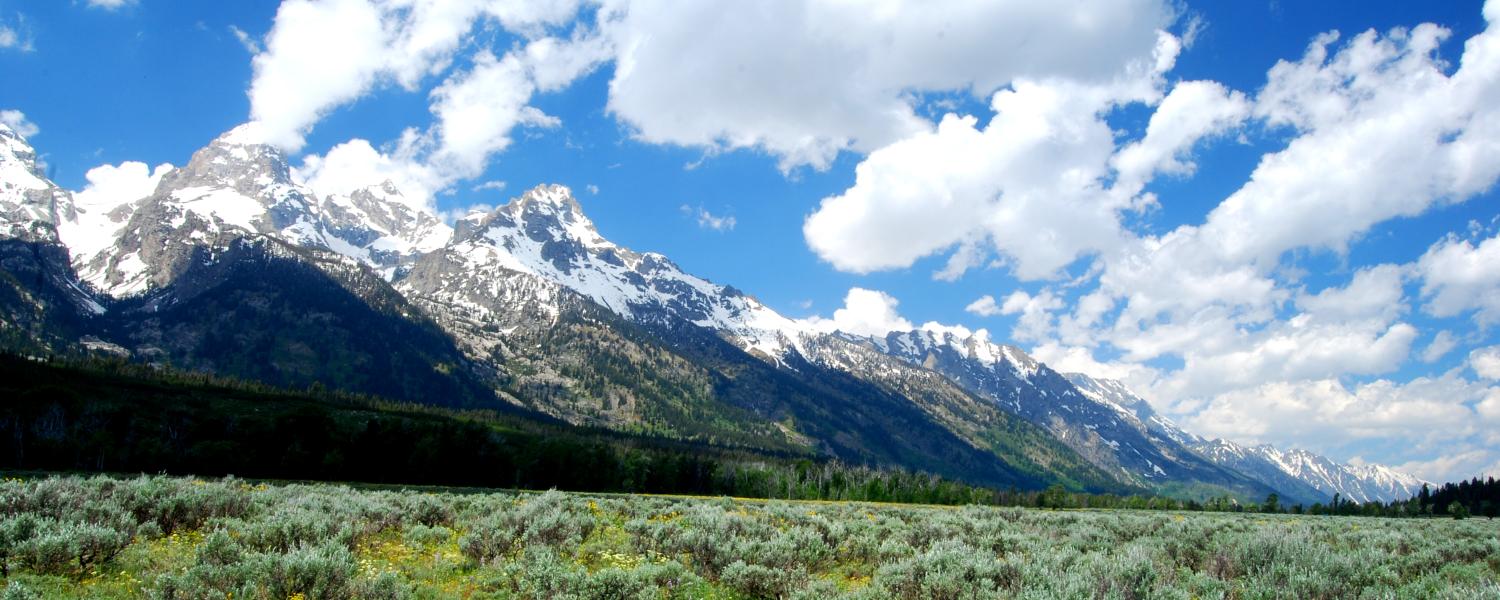 Grand Tetons