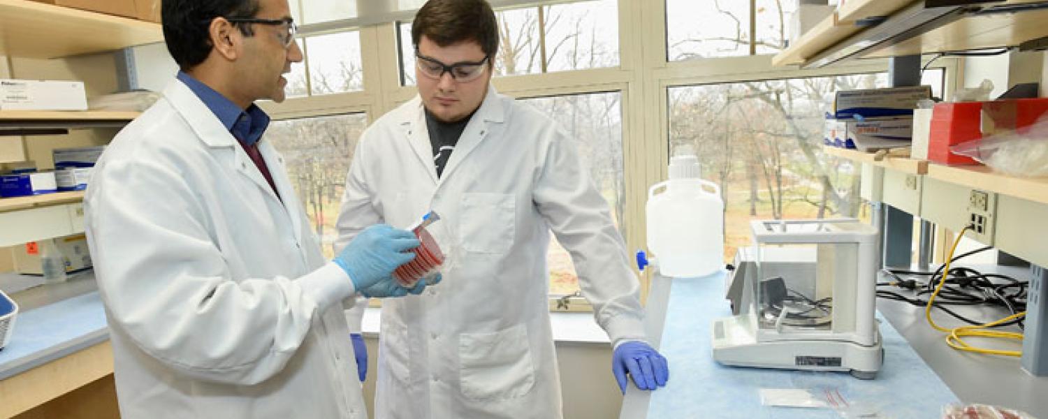 Photo of KSU lab
