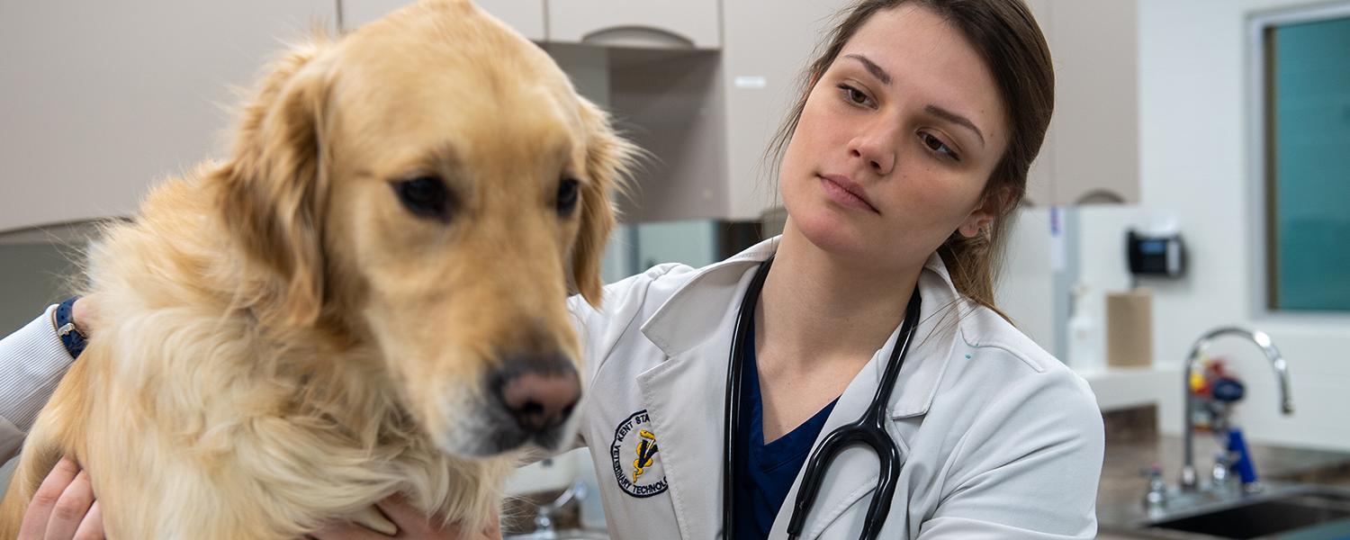 Photo of a vet tech student with a large golden retriever. 