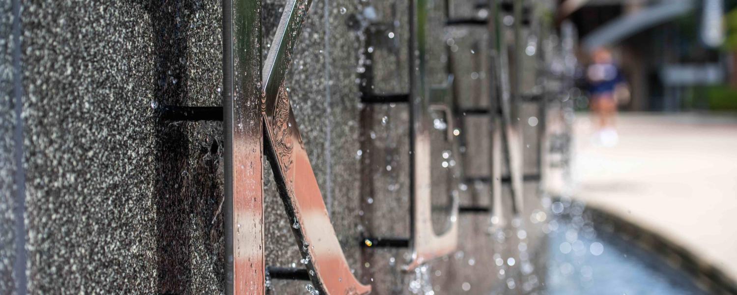 Photo of the Risman Plaza fountain