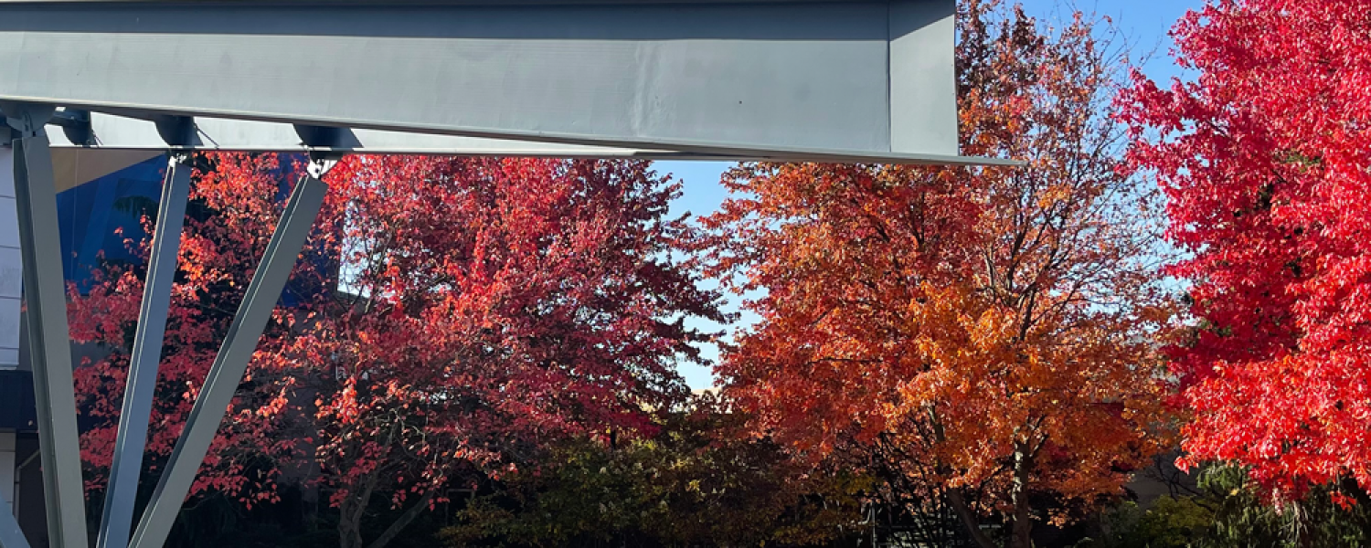 SRWC main entrance with fall trees