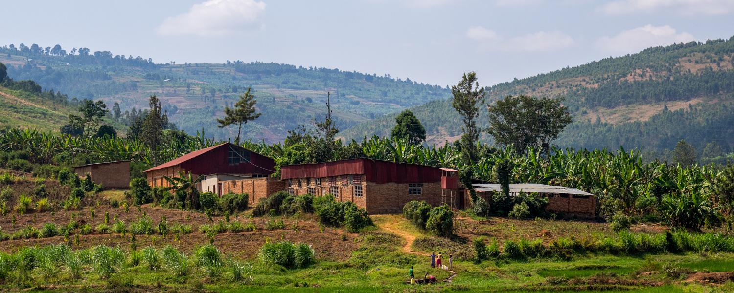 A wide view of a rural Rwandan farm nestled at the base of rolling green hills under a partly cloudy sky. In the center sits a large, red-roofed brick compound surrounded by a banana plantation and terraced agricultural plots. A few small figures are seen walking down a dirt path leading past the green fields in the foreground.