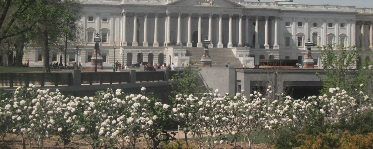 US Capitol Building in Bloom