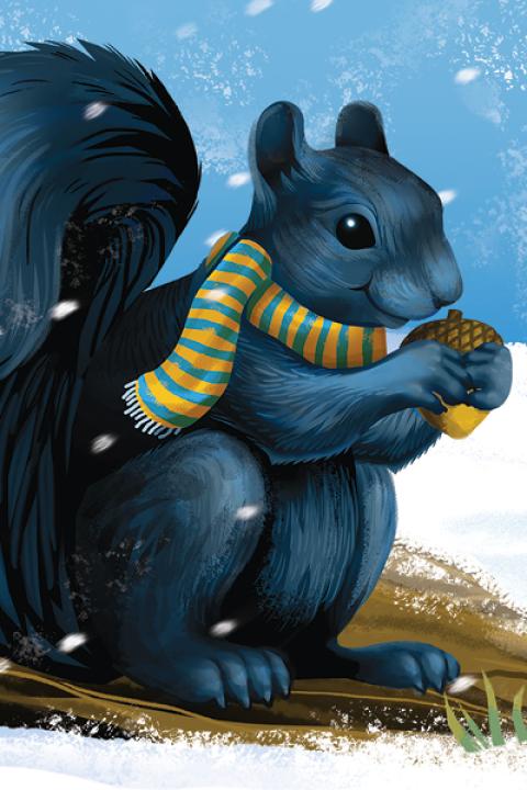 A black squirrel with a blue and gold scarf holding an acorn while sitting on a tree stump.