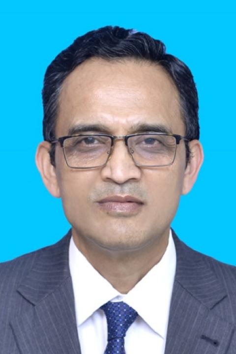 Professor Irfan Mohammed