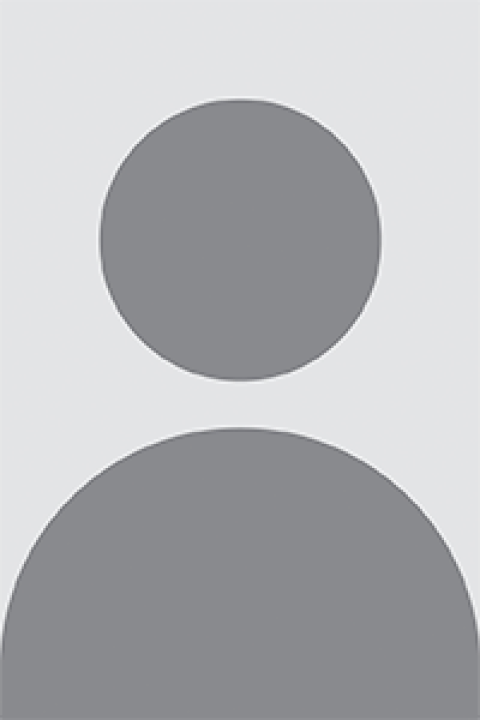 Grey silhouette.