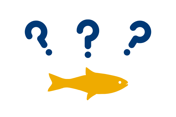 Are You Available icon.