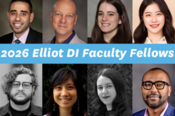 2026 DI Faculty Fellows