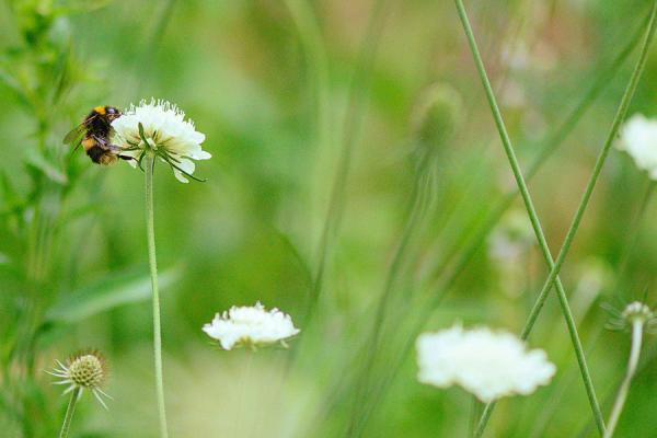 Earth-Day-2026-banner.jpg