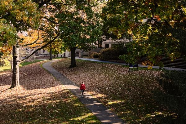 Fall on campus MR copy.jpg