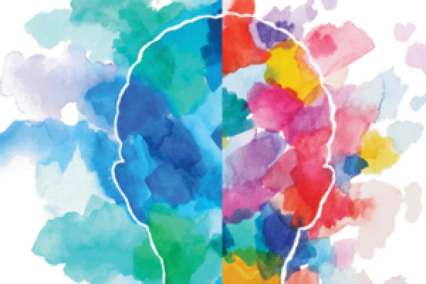 A silhouette of a person's head made of many bright colors, symbolizing intellectual diversity.