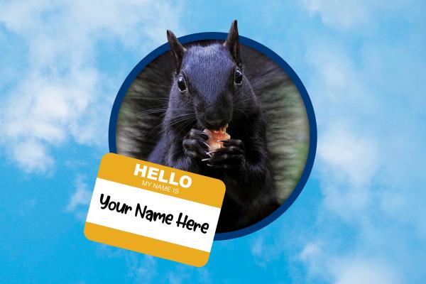 A black squirrel 