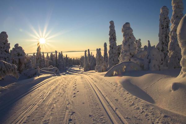 Snow mounts, roads and trees covered in snow, nature, sunrise, Finland.