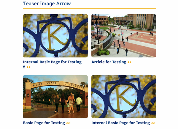 Drupal Image Arrow Teaser