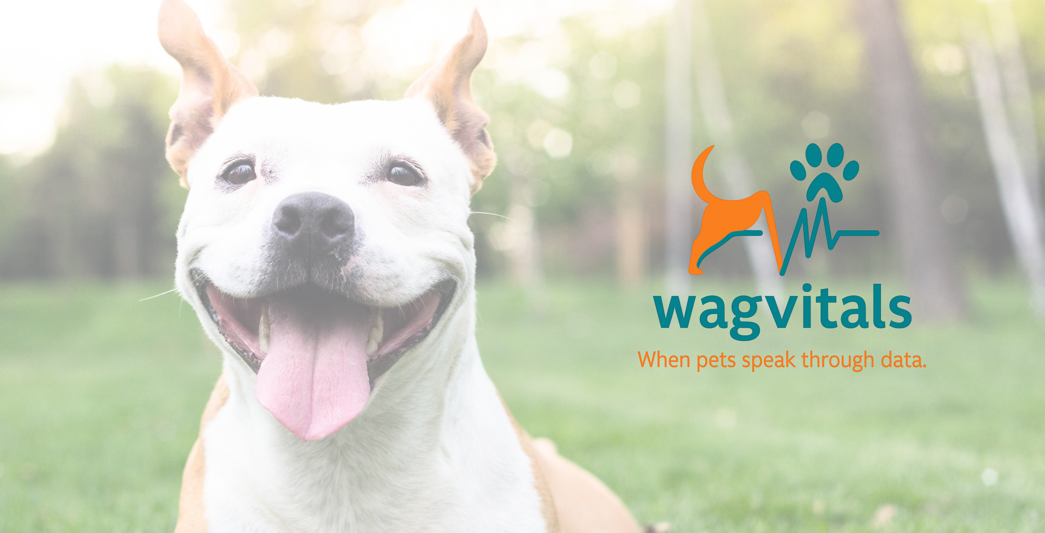 wagvitals logo